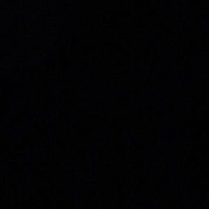 Meet your Posher, Paige